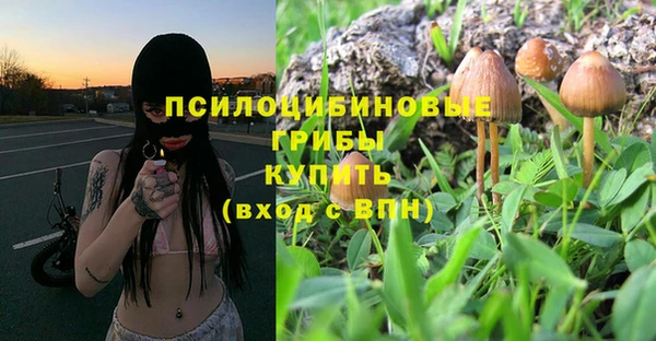 mdma Горнозаводск