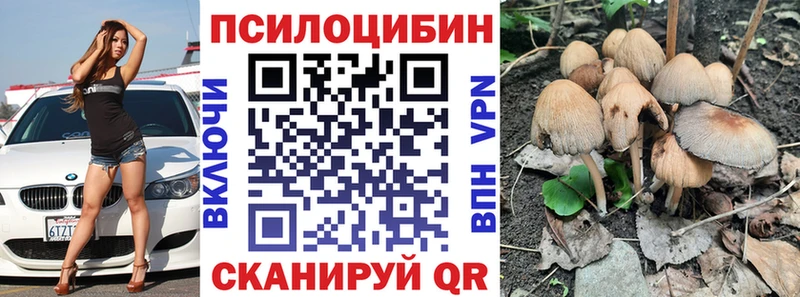 Купить закладки  Южа  Галлюциногенные грибы GOLDEN TEACHER 