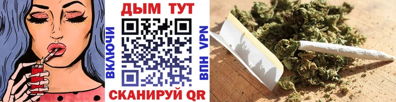 Купить  Южа  Каннабис тримм 